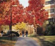 suitenet.org Towson