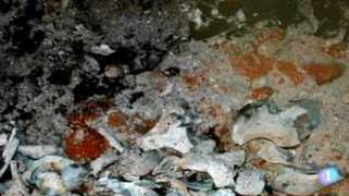 abc.es Toxicologia