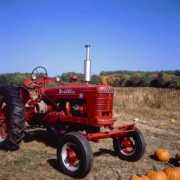 willegal.net Tractor