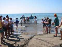 palavas.free.fr Traine