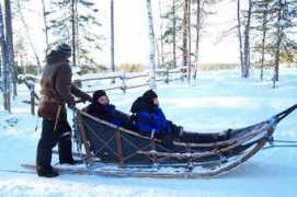 forum-auto.com Traineau