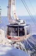 Tramb