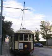 Tramb