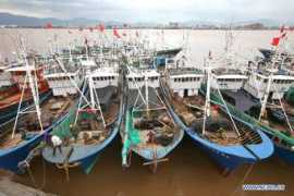 news.xinhuanet.com Trami
