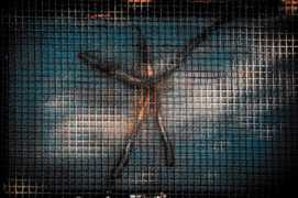 robink.ca Trapped