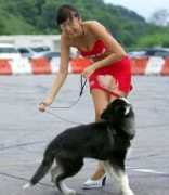 humor12.com Travieso