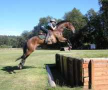 vineyardeventing.com Travita