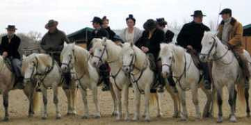 terre-equestre.com Trazic