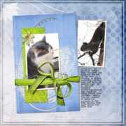 digishoptalk.com Treed