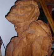 Treeguy