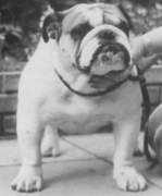 theblueposts.org Treimo