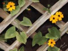 aifweb.com Trellis