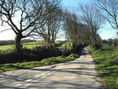geograph.org.uk Tremail