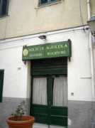 panoramio.com Trendafile