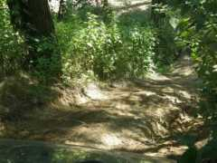 panoramio.com Trening