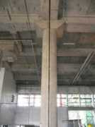 mech.hku.hk Trenth
