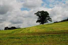 panoramio.com Trentham