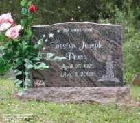 wvcpaweb.org Trestyn