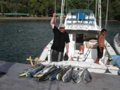 sffishing.com Trevale
