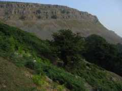 panoramio.com Trevors
