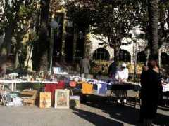 itimad.org Trianera