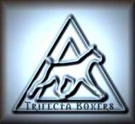 trifectatraining.com Triart