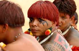 anarhoprimitivac.bloger.index.hr Tribes