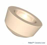 implantsinternational.com Tribol