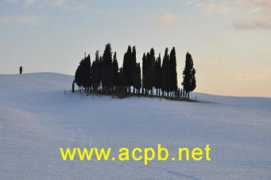 acpb.net Triboli
