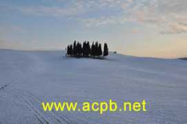 acpb.net Triboli