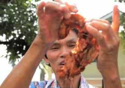 dailypicksandflicks.com Trichan