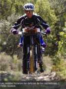 diariodelaltoaragon.es Trigales