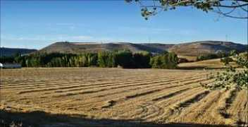 panoramio.com Trigales