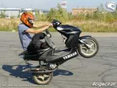 Triki