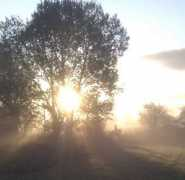 tresaisonstud.co.uk Triley