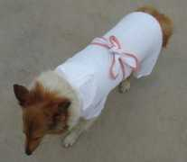 lovelonglong.com Trimed