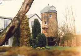 windmillworld.com Tring