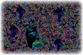 taltopia.com Trippy