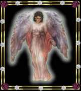 trissiefetter.com Trissie