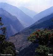 Trisuli