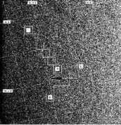 srtm.det.unifi.it Trivero