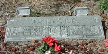 Trlicek