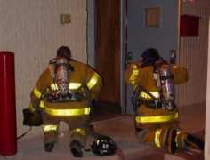 nfd65.com Trng
