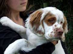 abbyford.co.uk Trogen