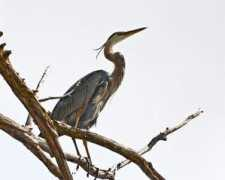 abduzeedo.com Troletti