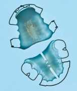 tromboni.twoday.net Tromboni