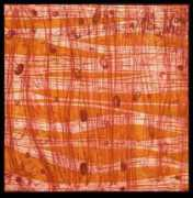 artelista.com Troncos