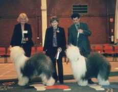 oesclubofscotland.co.uk Tronell