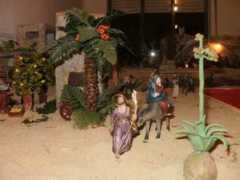fotos.navidaddigital.com Tronky
