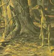 Troodon